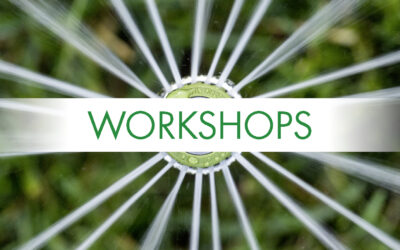 Save the Date: Workshops Februar 2026